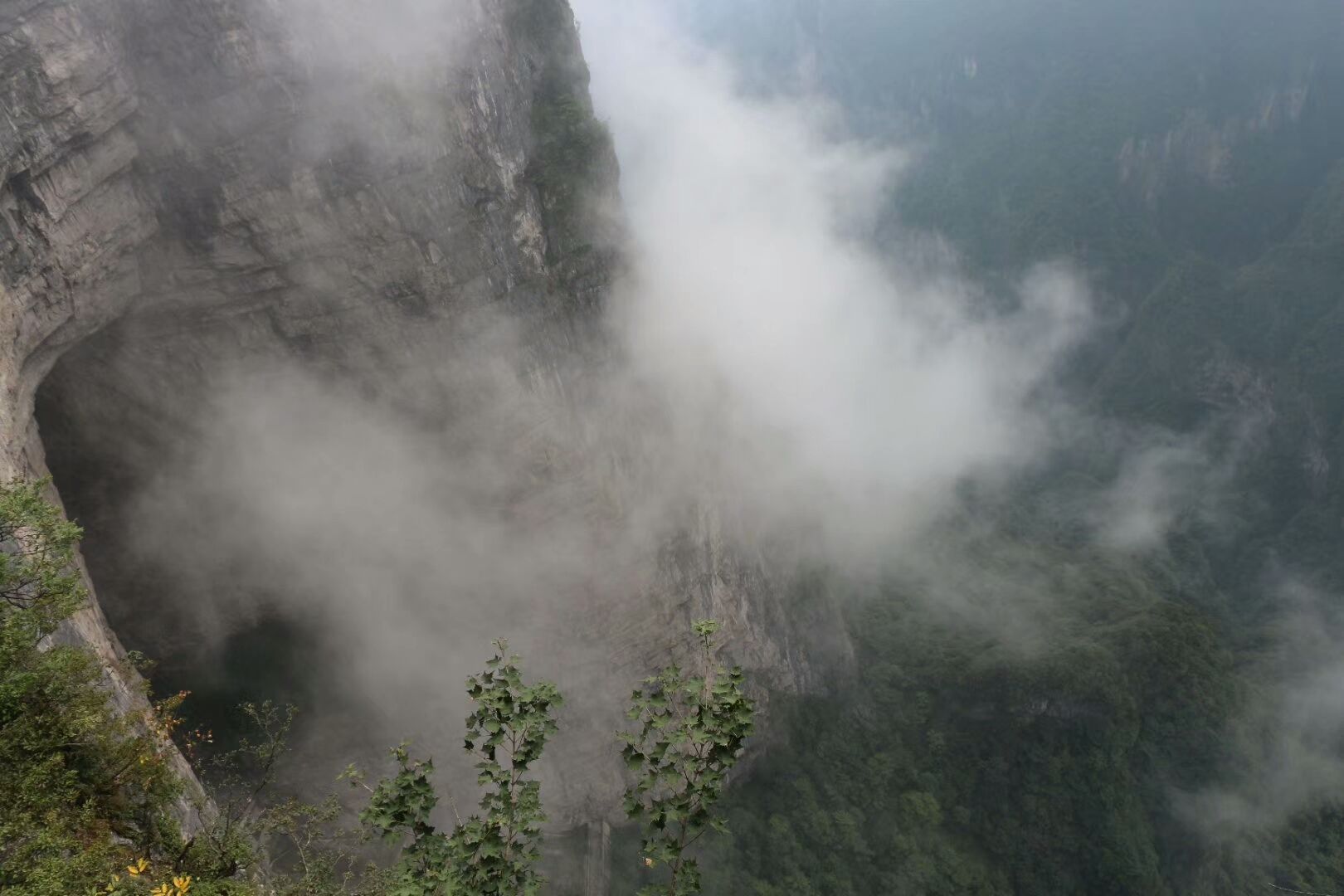 以前只知道张家界是个5A级景区，去了才知道它是处仙境