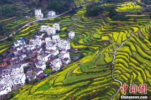 航拍江西婺源万亩梯田“油菜花海” 引游客纷至沓来