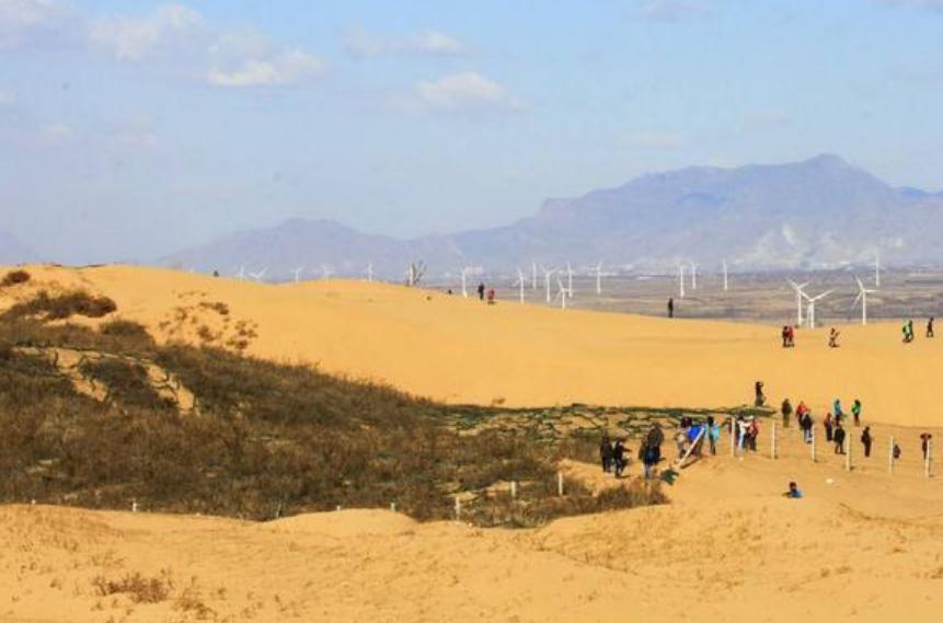 中国唯一被“保护”的沙漠，需靠人工填沙“续命”，只剩200多亩