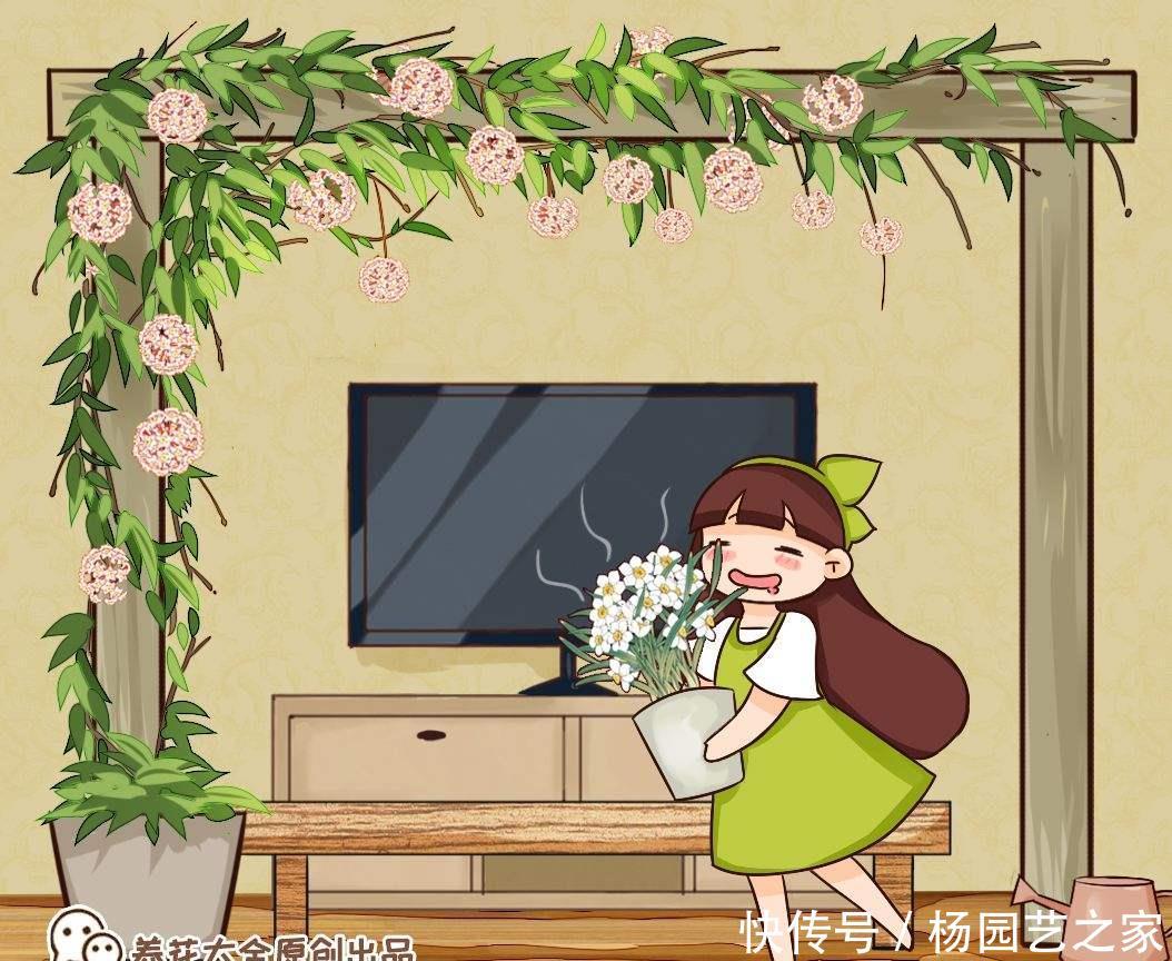 『爱之蔓』5种耐阴花,没光也能嗖嗖长,在家就能养成绿帘子