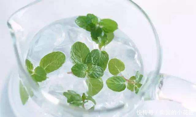 『真好玩』这种植物真好玩,越碰越香,摘片叶子砸一砸,还能熏蚊子