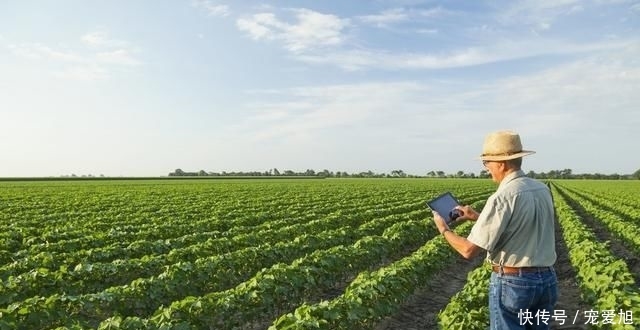  「城里人」如果城里人到农村生活，能坚持多久呢？