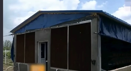  【小伙】农村小伙投资3万养獭兔 一年纯收入40万 三年身价上亿