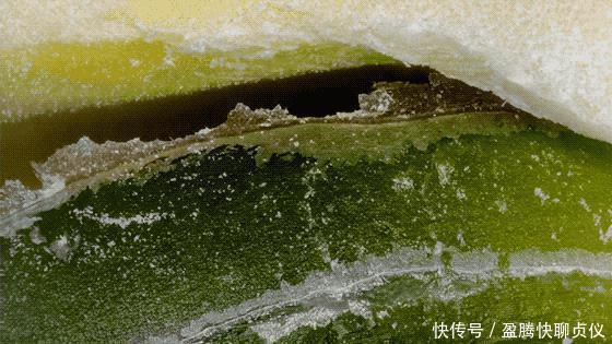 这部纪录片央视发力了,每一帧都可以当壁纸,BBC也无法超越