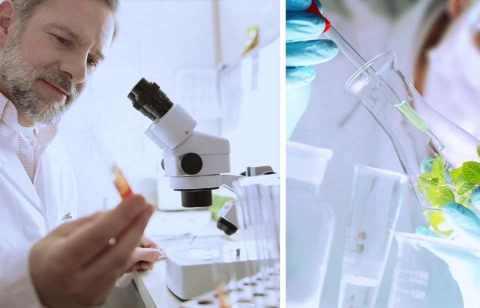 毛孔粗大至少显老10岁?怎样才能摆脱“孔肤人”称号