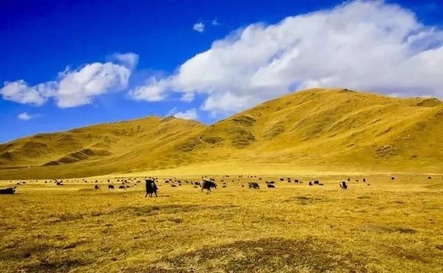 这才是四川最美7大景点，景美人还少，去过5个的都是老司机！