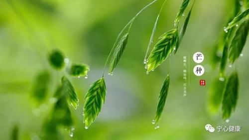 芒种|夏季炎热雨水多 湿邪重浊怎么办_【快资讯