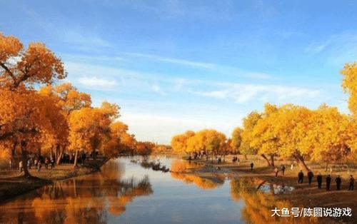 额济纳的胡杨林到底有多“无耻”？游客称宁愿在家发呆也不去看树