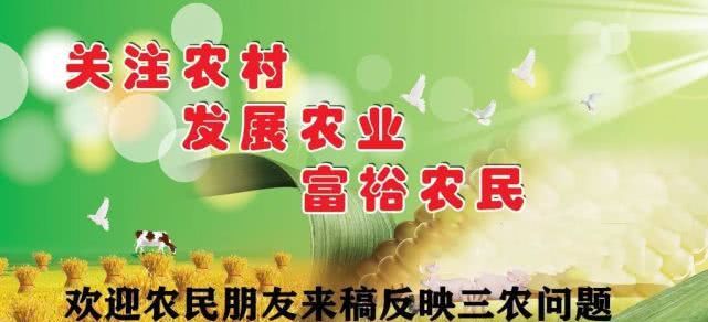村村亮”进农村，免费的路灯，为啥村民不领情？听听老农咋说