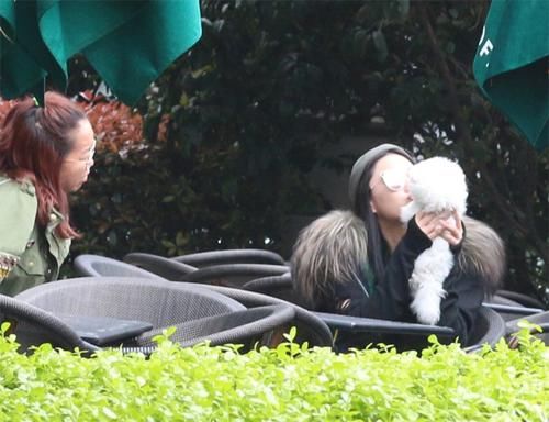 双喜临门：领证后张馨予确认怀孕，送走爱犬安心养胎，坐实传言