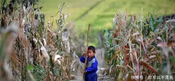 印度、越南农民生活条件大比拼，还是中国农民好啊