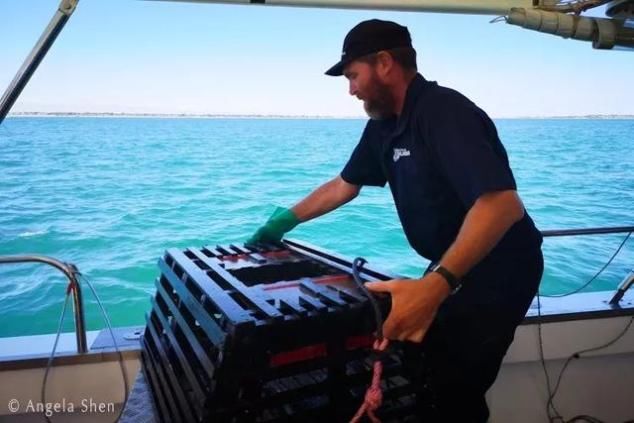 2020年最大的心愿