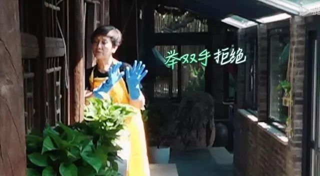 张国立和邓婕录综艺，神仙般的老年生活，尤其这3点让人羡慕邓婕