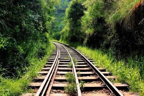  [不锈钢]火车铁轨那么容易生锈，为何不能直接用不锈钢？答案出