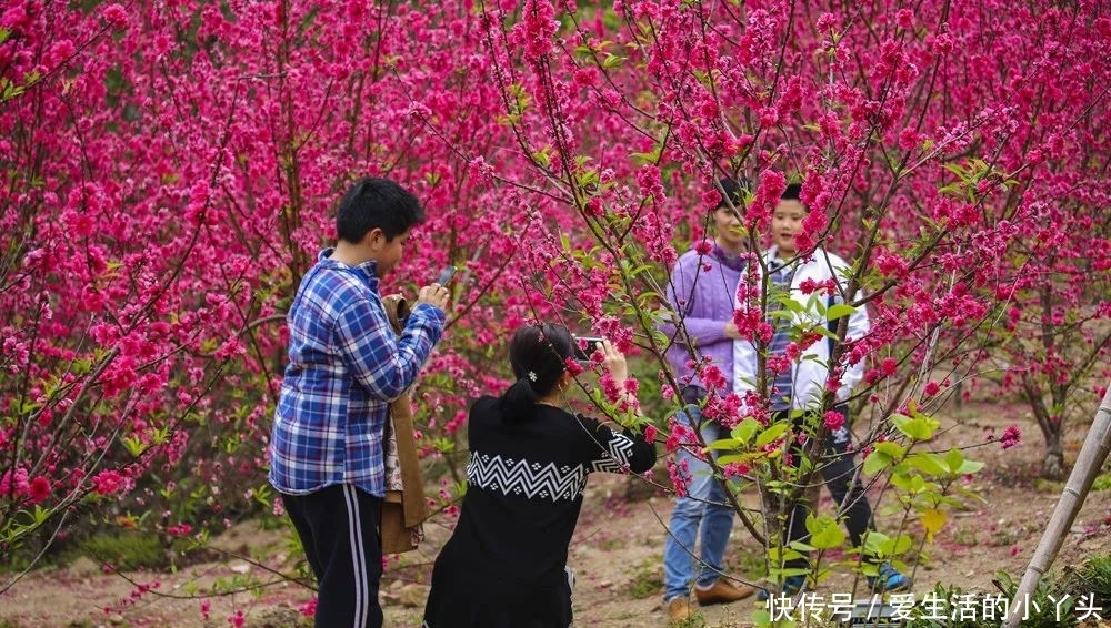 东山岛，一座让你一见倾心的小岛！