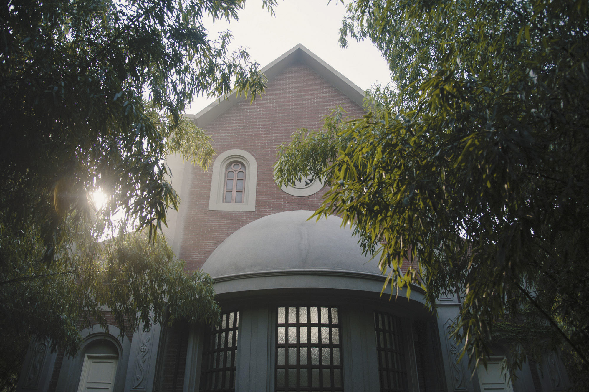 现实版泰囧上海自驾游，历经延误、爆胎、鳄鱼还有暴雨，湿身更撩