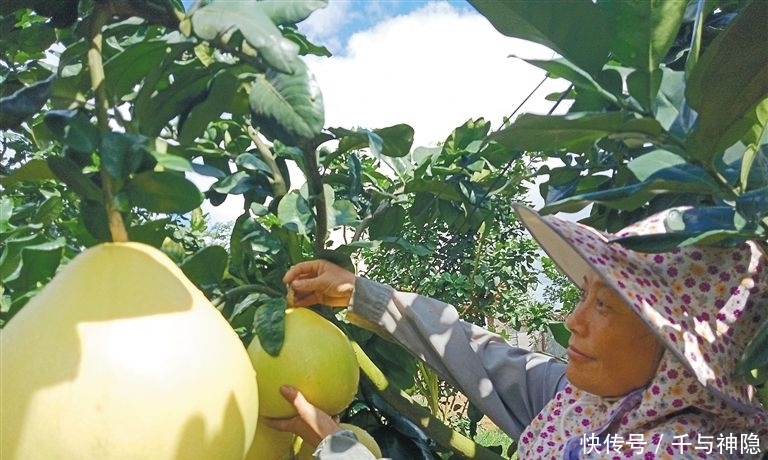  #房车#今后十年，房车不值钱了，3样东西才珍贵，农民别丢弃