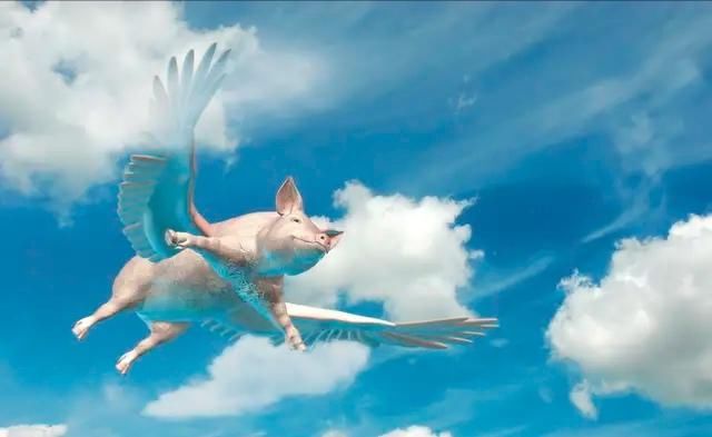 全国猪价越涨越狠，7地猪价破7，到底还能飘红多久呢？