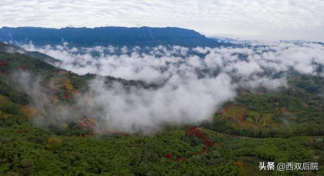 天台山后山天然山庄观景果然不错，感谢条友“听雨大漠孤烟”推荐