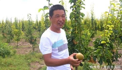  [种植大户]农民投200万种植果树，4年才开始见效益，亲戚朋友全