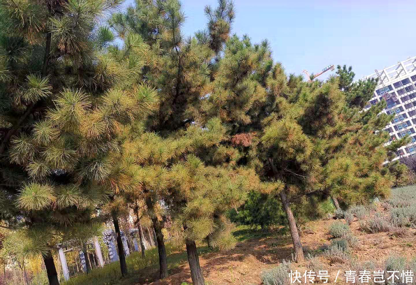 地铁四号线游玩