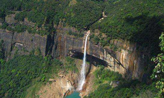 世界上最不缺水的地方,当地人用树建桥,十几年才能建成一座桥