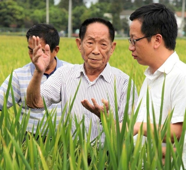 杂交水稻之父袁隆平，88岁再创奇迹