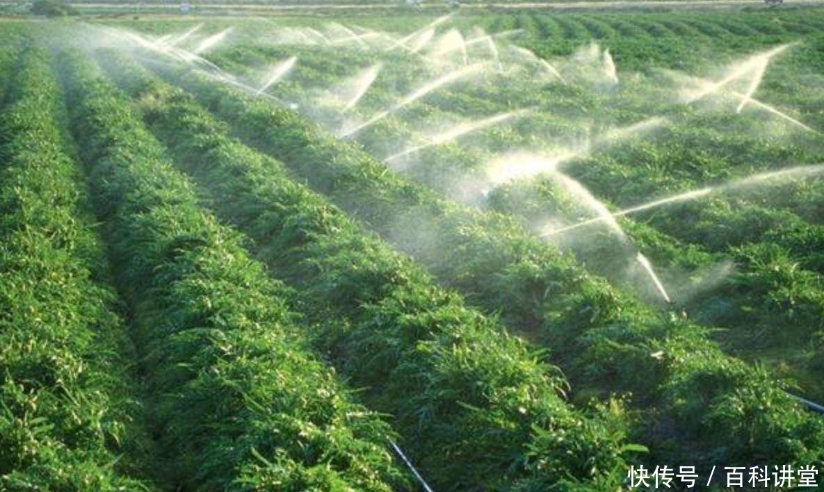 世界“森林”第一国，总面积近我国2倍，人口仅占我国10%！