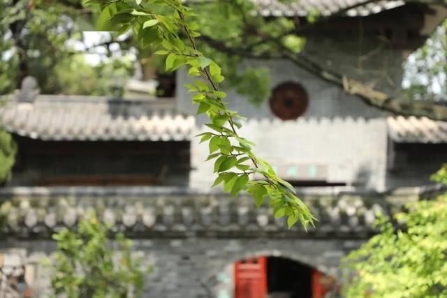  「日子」在湖北，想念寺院的这些日子，我们一起“云赏”春景