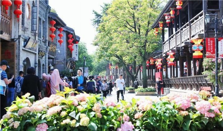 中国巨婴式游客的中国式旅游, 人人一个大单反, 外国游客只拿手机