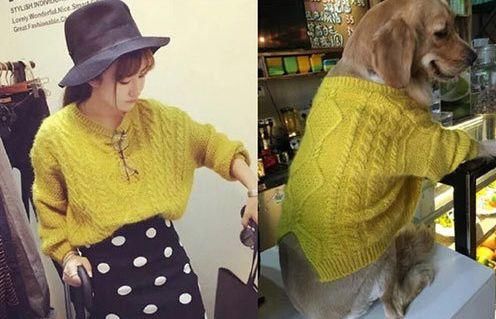 买家秀VS卖家秀，衣服都穿到狗身上了，这样的对比你笑了吗？