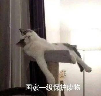  便宜@比匡威更便宜好看的帆布鞋，我给你们找了100双！