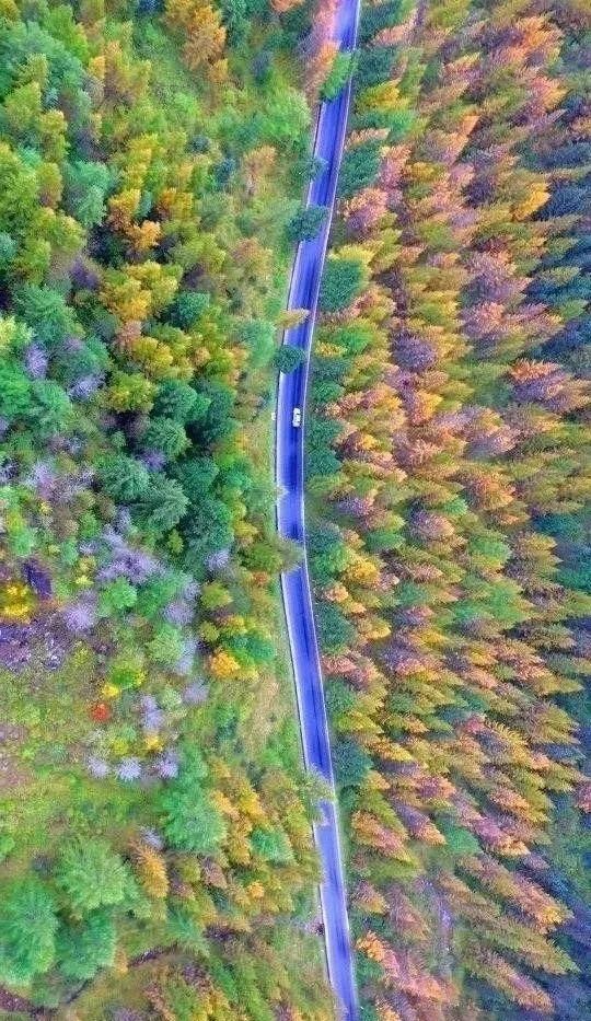 秦岭这条公路，秋天必驾，5处醉美之地值得看看