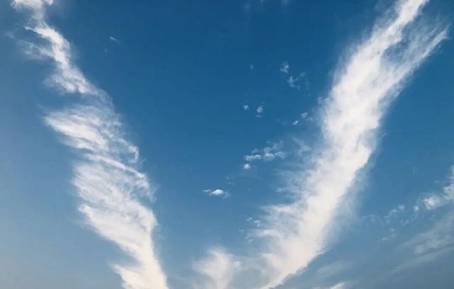 高以翔最后粉丝