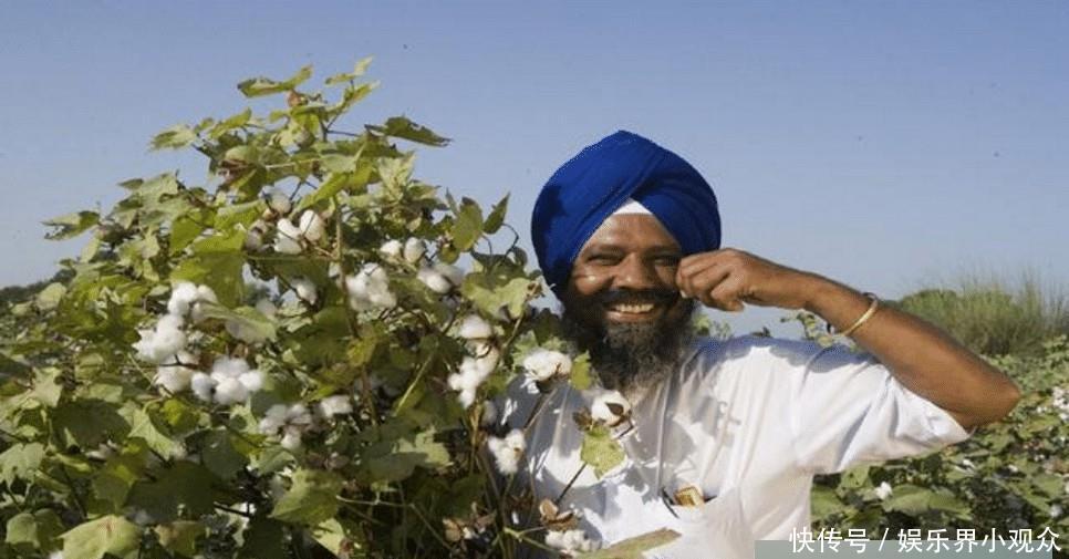 印度出口15万吨宝贝，以为赚翻了，不料中国加工后狂赚数千亿