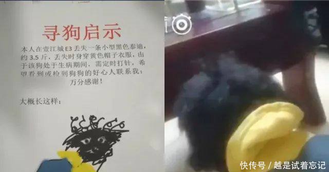 美国智库警告中国！逼走蔡英文会遭“报应”