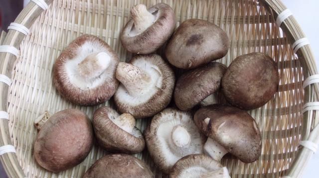  #脏东西#清水洗香菇，和没洗一样，教您一招，脏东西和小虫子自动溜走