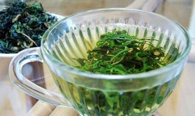  『蒲公英』春天“最苦”的6种野菜，常被当成杂草，殊不知养肝消炎价值高