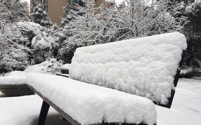 新一波寒潮预警又来了？北方部分地区中到大雪，局地还有暴雪！