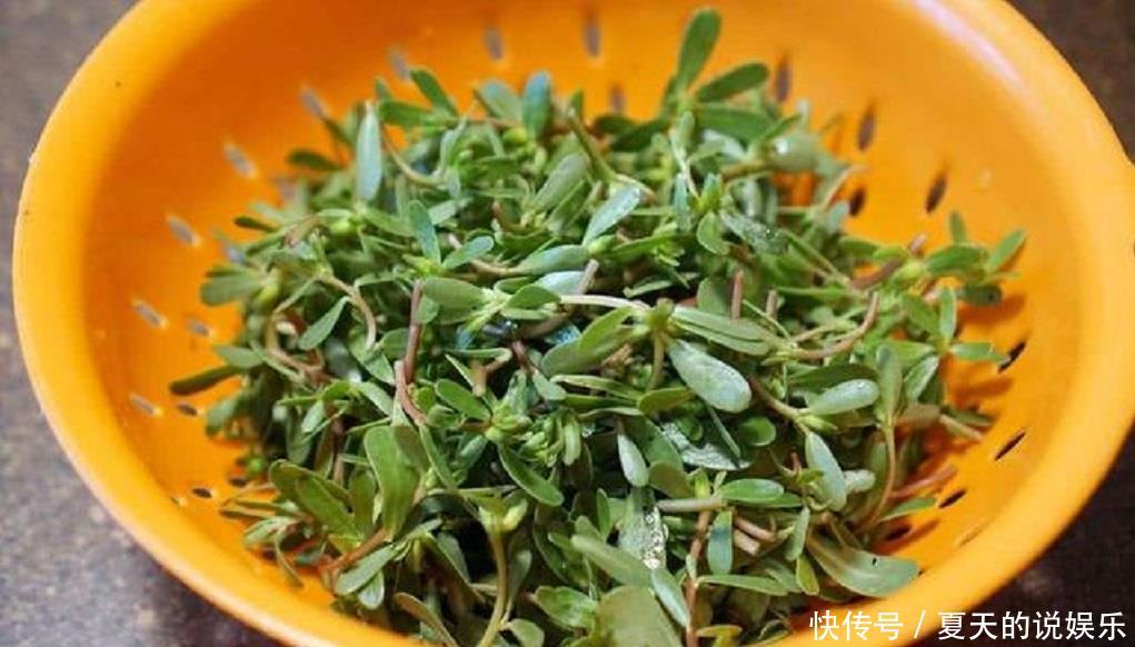  [脸上]“马齿苋”加它敷脸，美白祛斑有奇效，用过的人色斑早就没了！