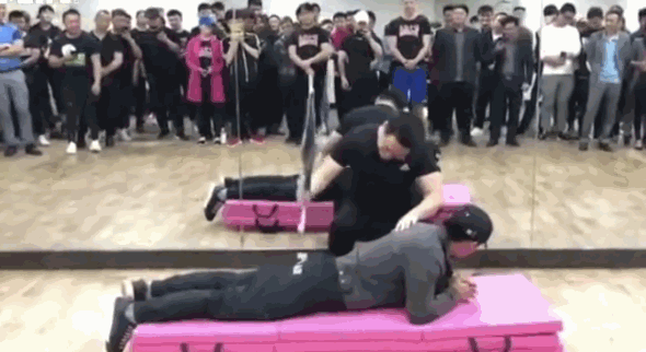 t01398237fb6dea582e.gif?size=590x322