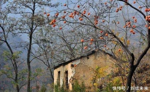  「庄稼」俗语“一朝有霜晴不久，三朝有霜无雨天”何意？老祖宗
