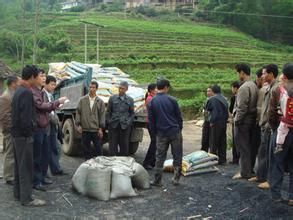 适合农村的创业点子，就看你敢不敢做