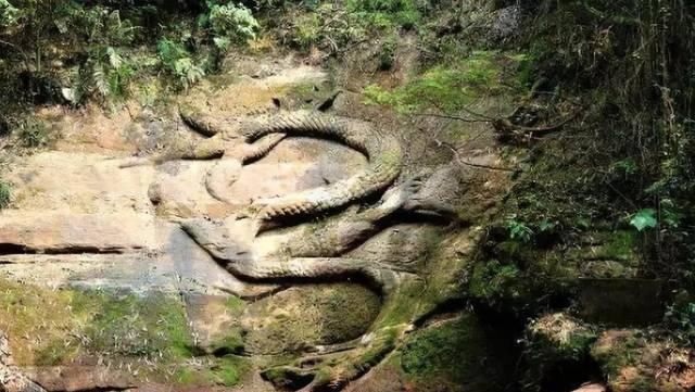 登錄查看大圖