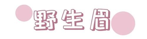  『易学』换个眉型=整容！这几款简单易学，还巨显脸小！