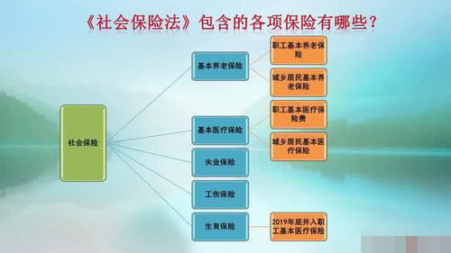  人士■养老保险和社保有什么区别？知情人士给出答案