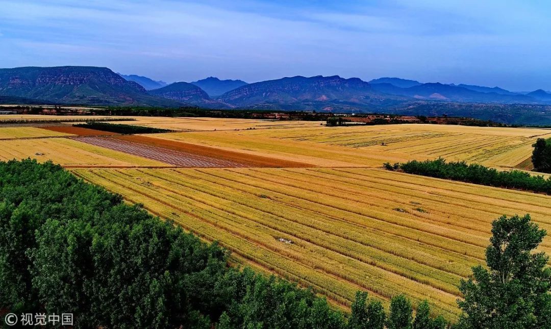 厉害了！外交部向全世界推介山西！
