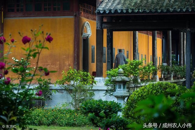 国内最良心5A景区！明明最赚钱，却主动撤销门票！吃饭2元管饱！