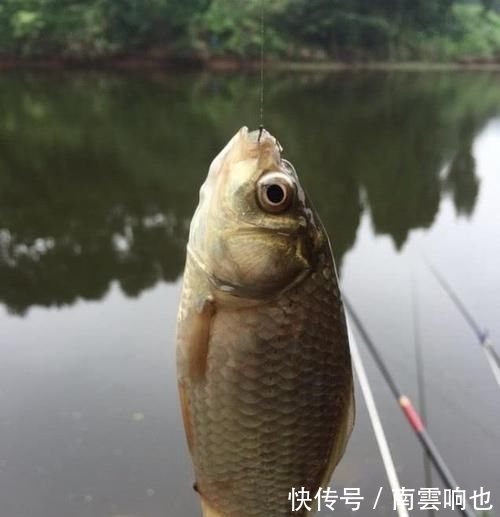 「适合钓鱼」春季刮什么风好钓鱼每当风从这个方向吹过来,我就知道要爆护了