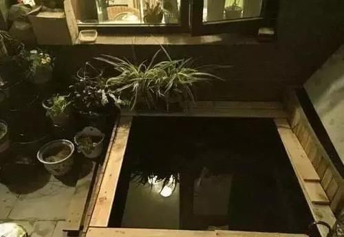  [喜欢]阳台改造鱼池, 成本只花了180元, 女儿一看非常喜欢!